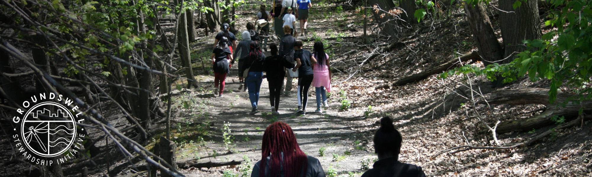 Students walking on a trail in the woods, sunny day